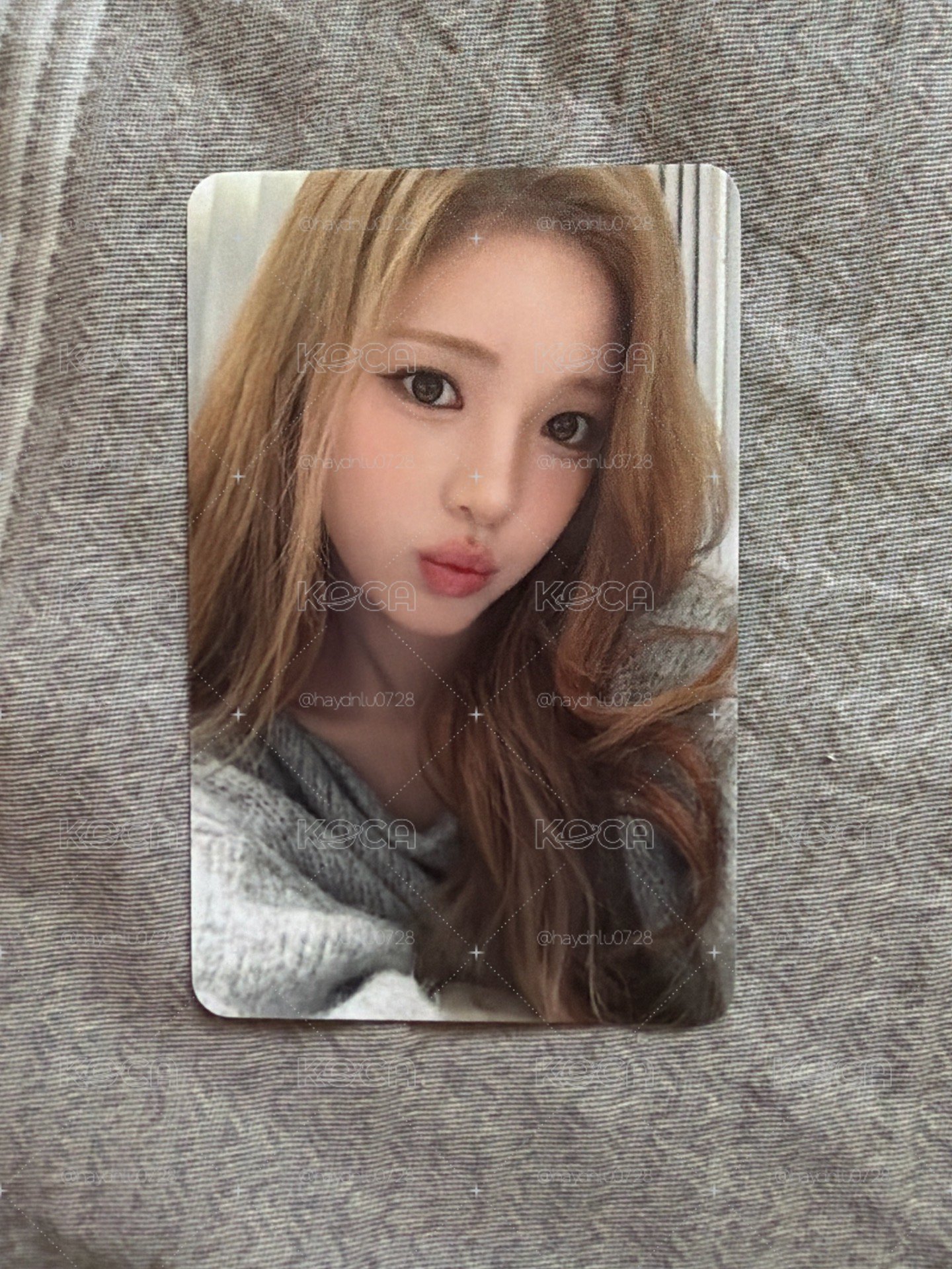 現貨當日出貨/Focus ny 2.0 簽售卡 Yuha