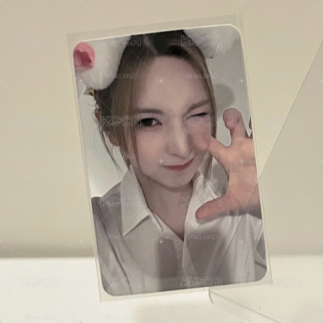 白貓裴
