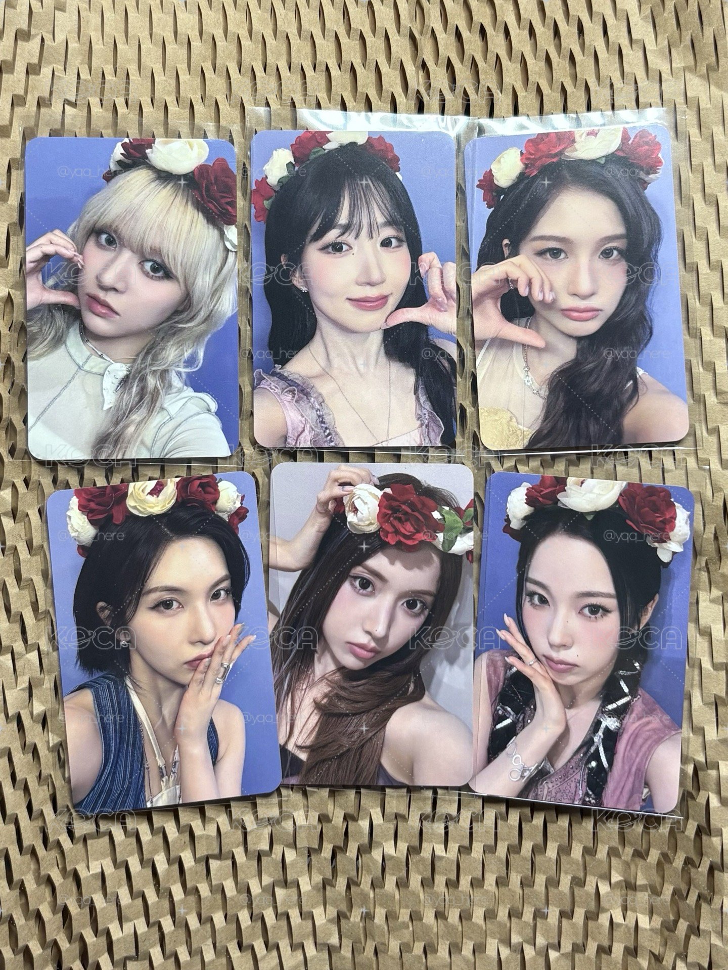 Nmixx ms線上 花環特典