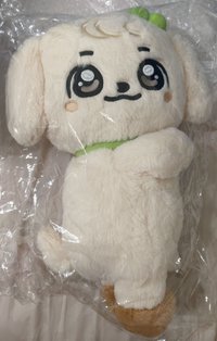 6號安斜背娃包（需綁200安卡）