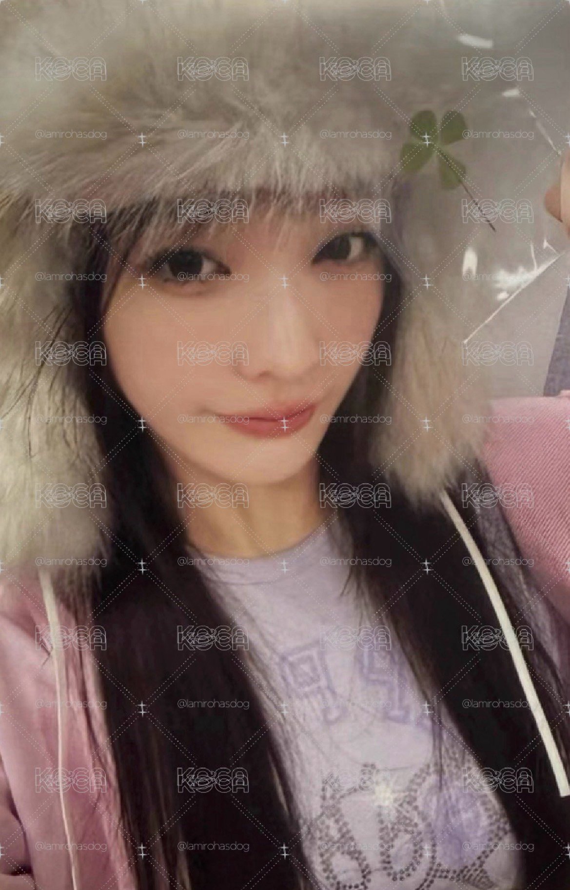 幸運草🍀羽