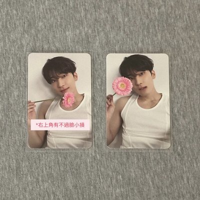 SVT｜克拉盤專卡·遊戲卡·徽章·隨機卡