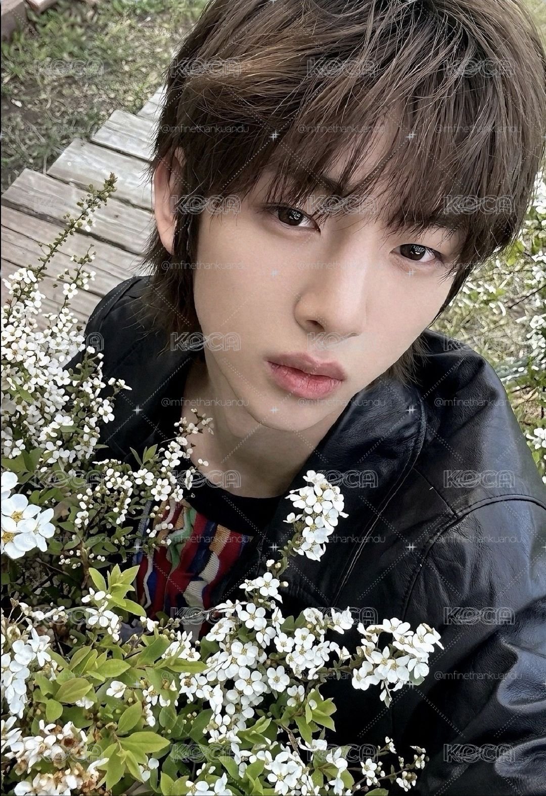 捧花豬豬✨️