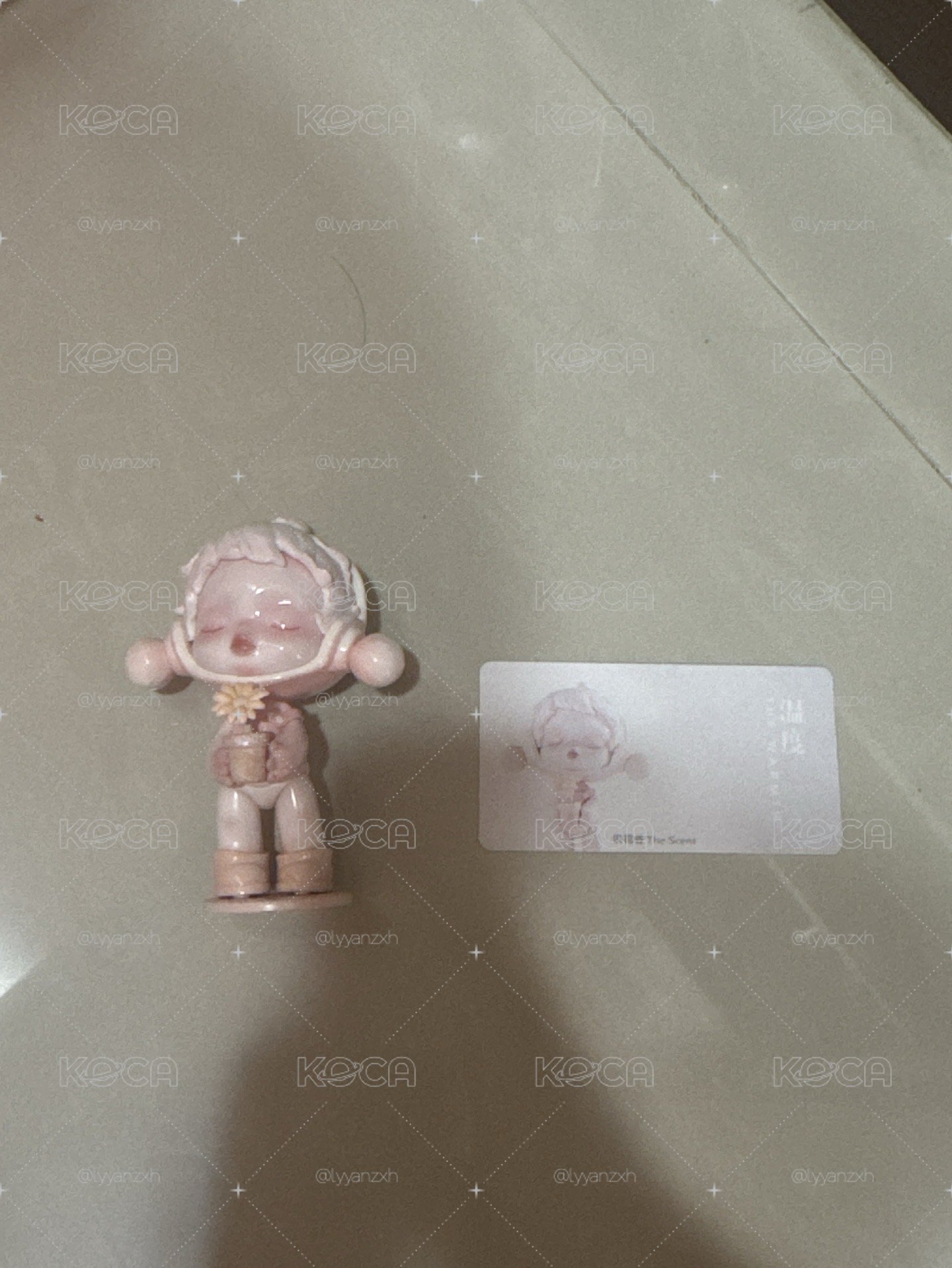 溫度 公仔 識花香