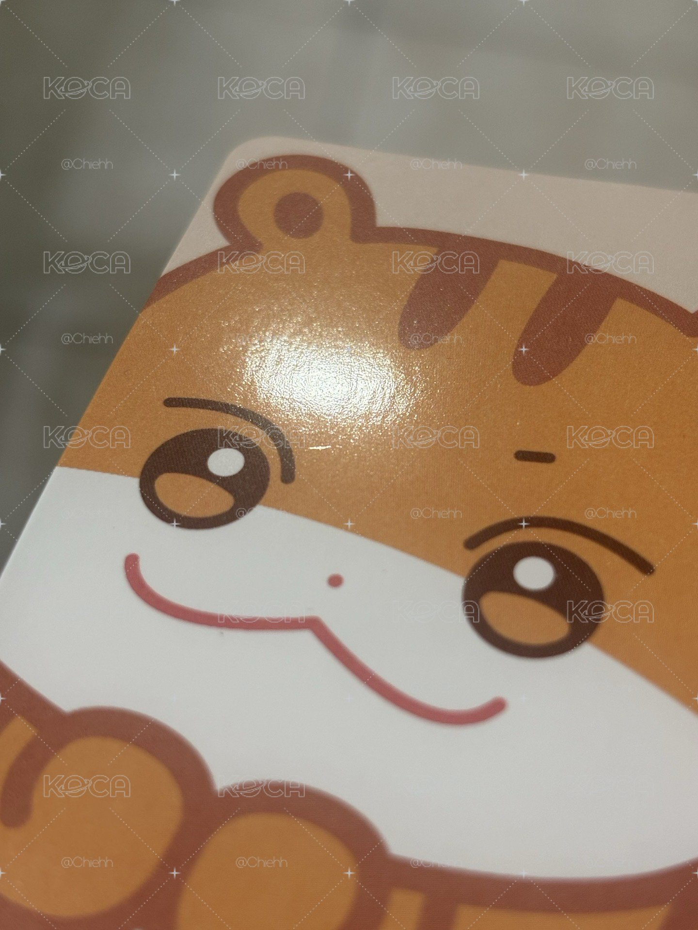 中拉米毛絨卡套