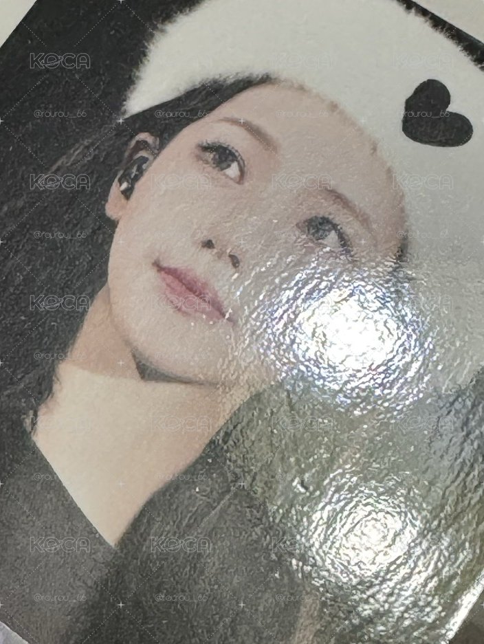 東蛋DVD柚（已鑒定💛保真）