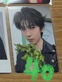 26台曆香菜