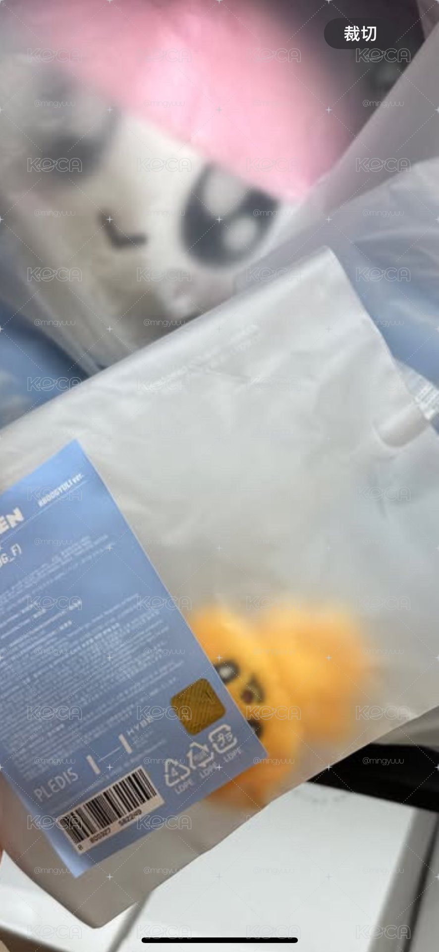 寛手燈環