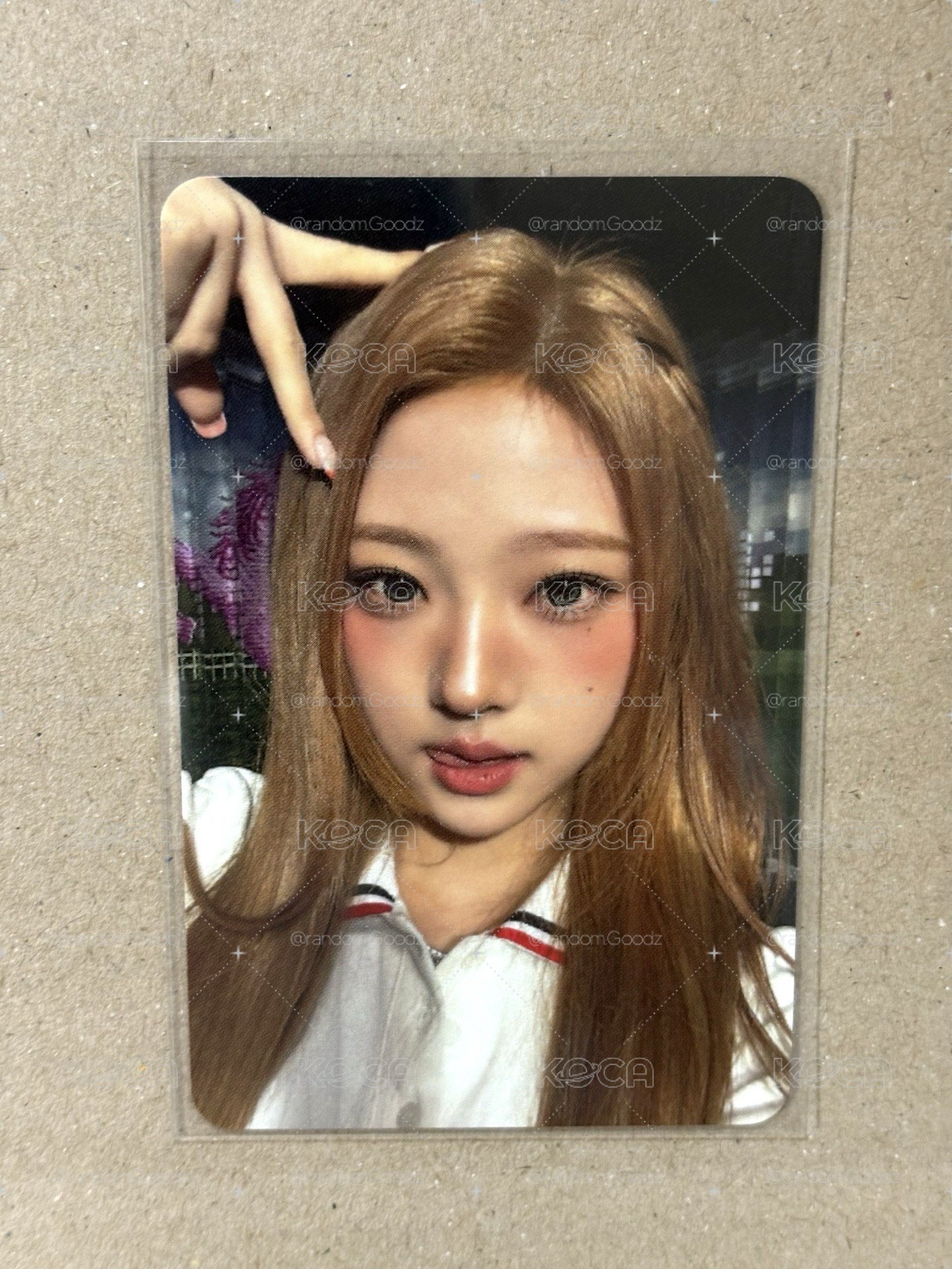 STELLA hl幸運卡