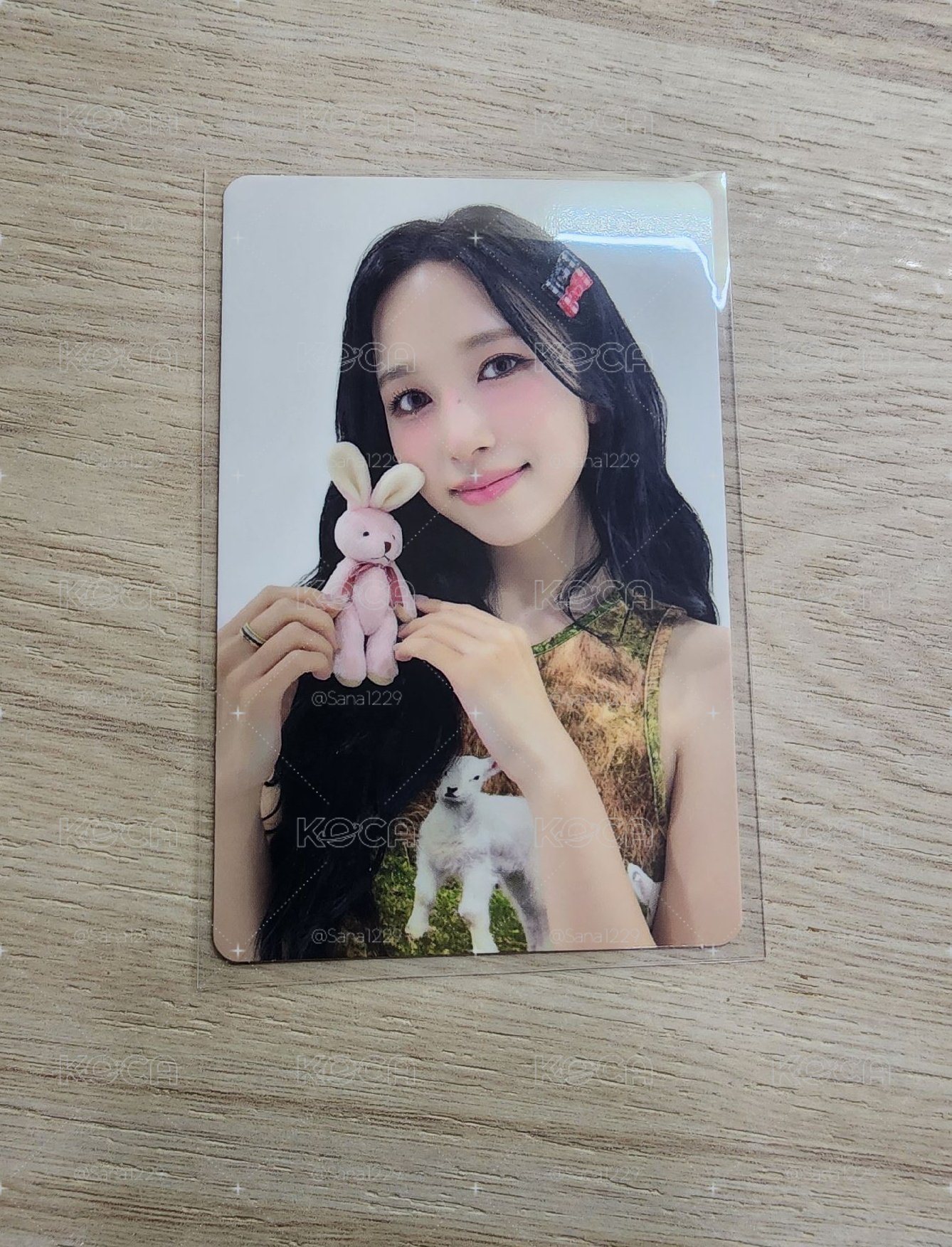 兔子小咪