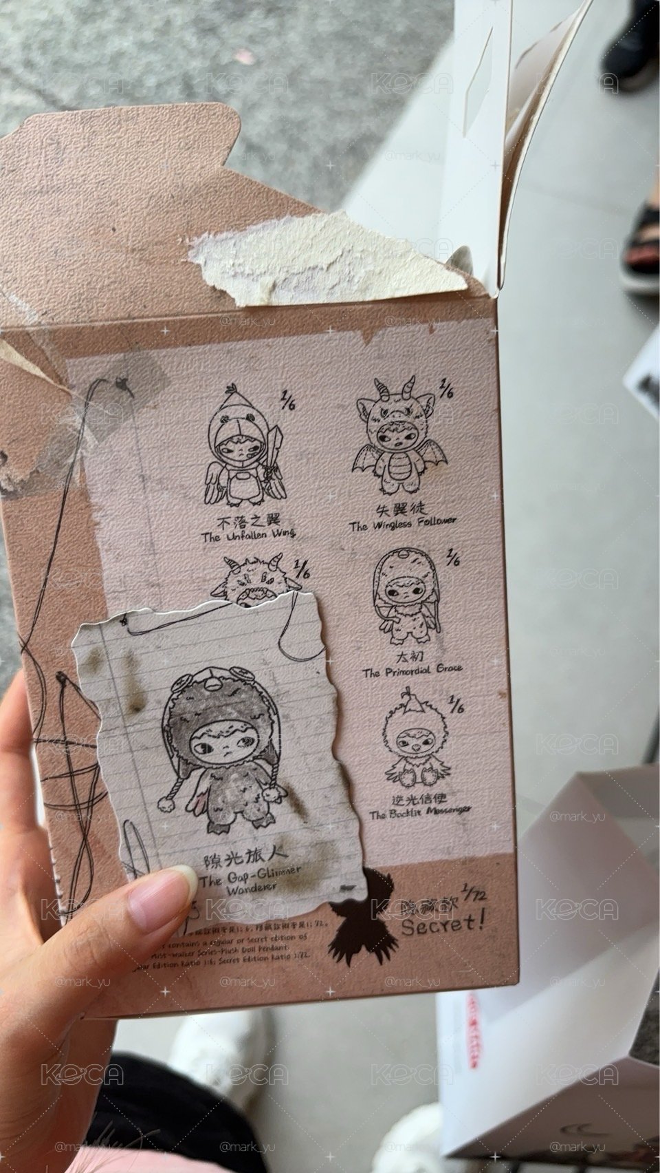 圖上剛開出來的
