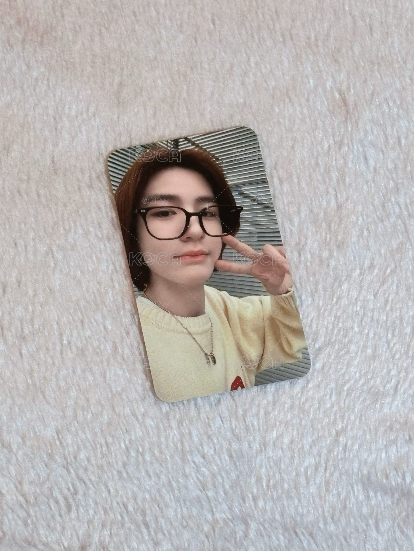 金桐儇nara