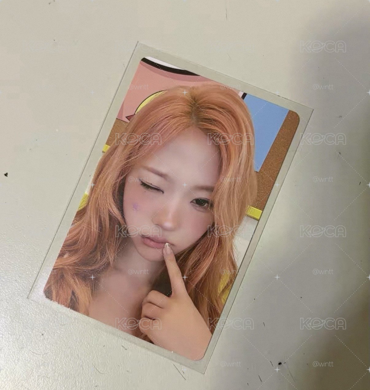 ny stella 現貨