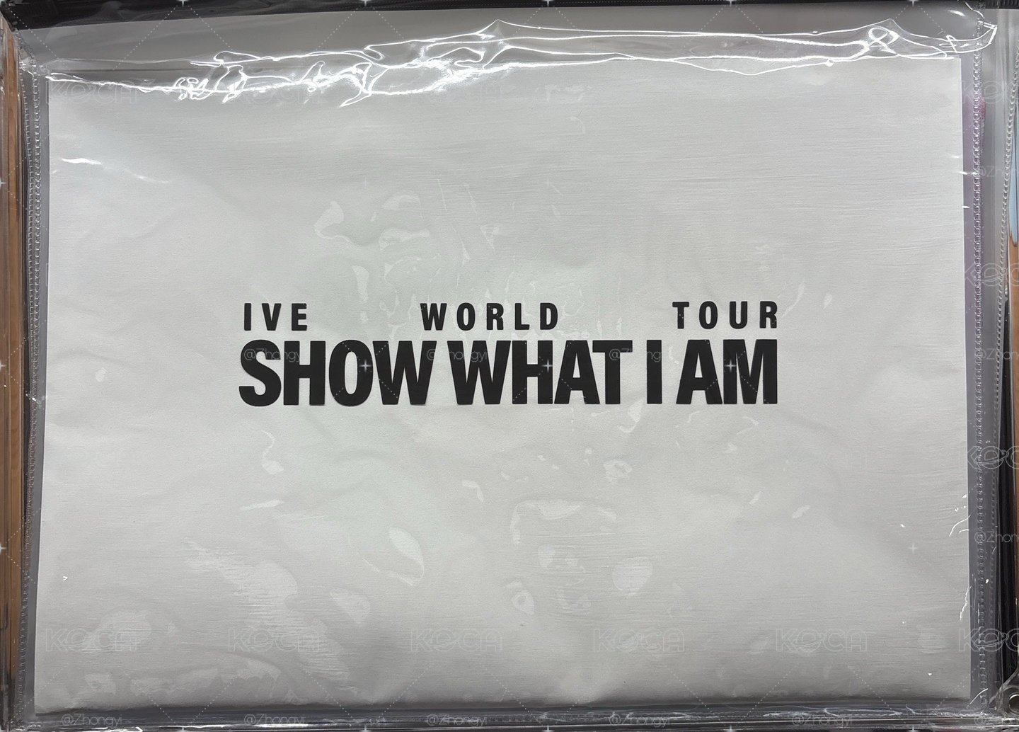 SHOW WHAT I AM 怜手幅