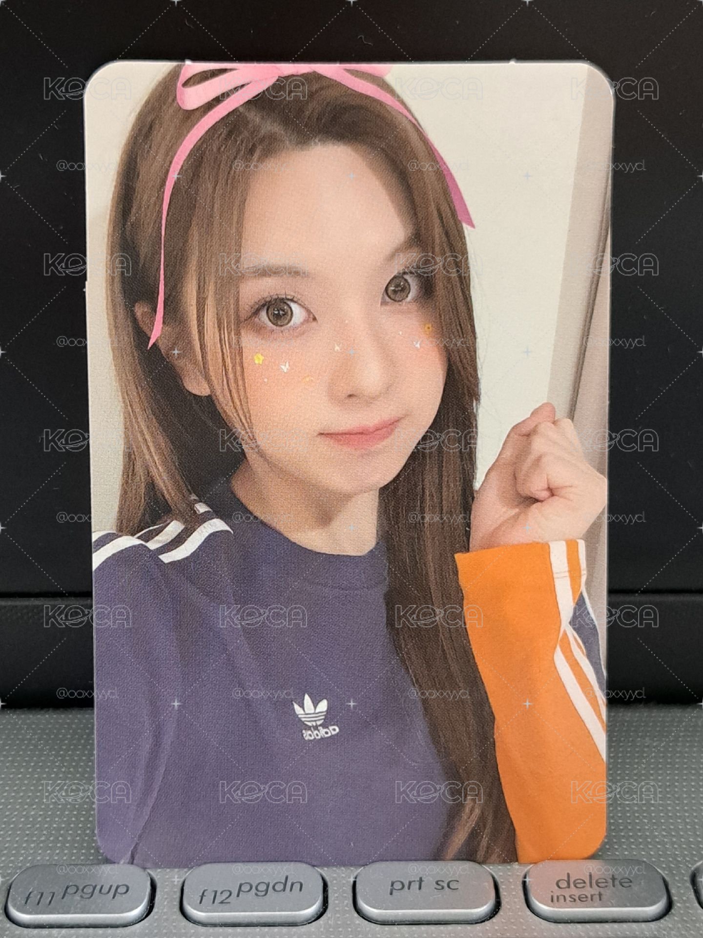sw 絲帶裴 對光瑕