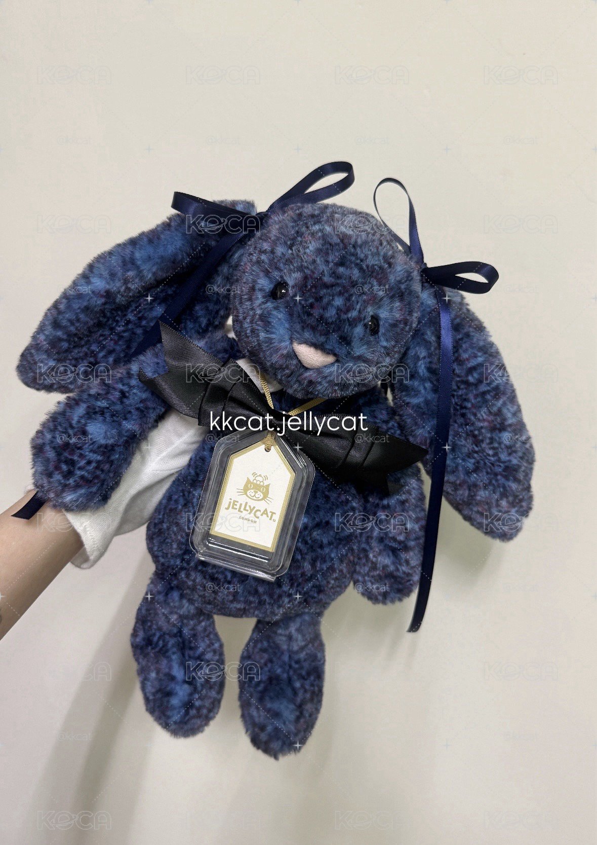 31 金標 星空兔