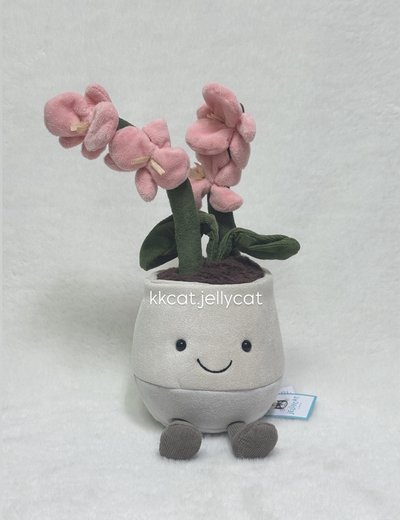 粉色蘭花盆栽