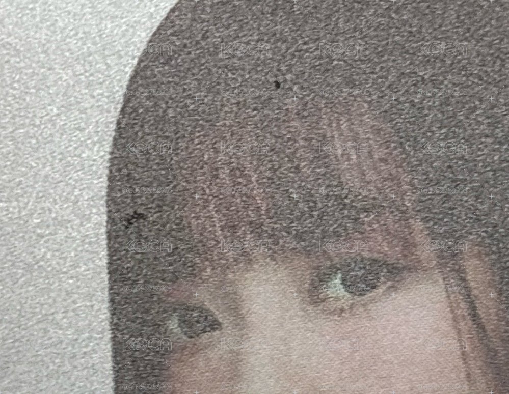 （瑕）二巡 隨機卡 東蛋寧
