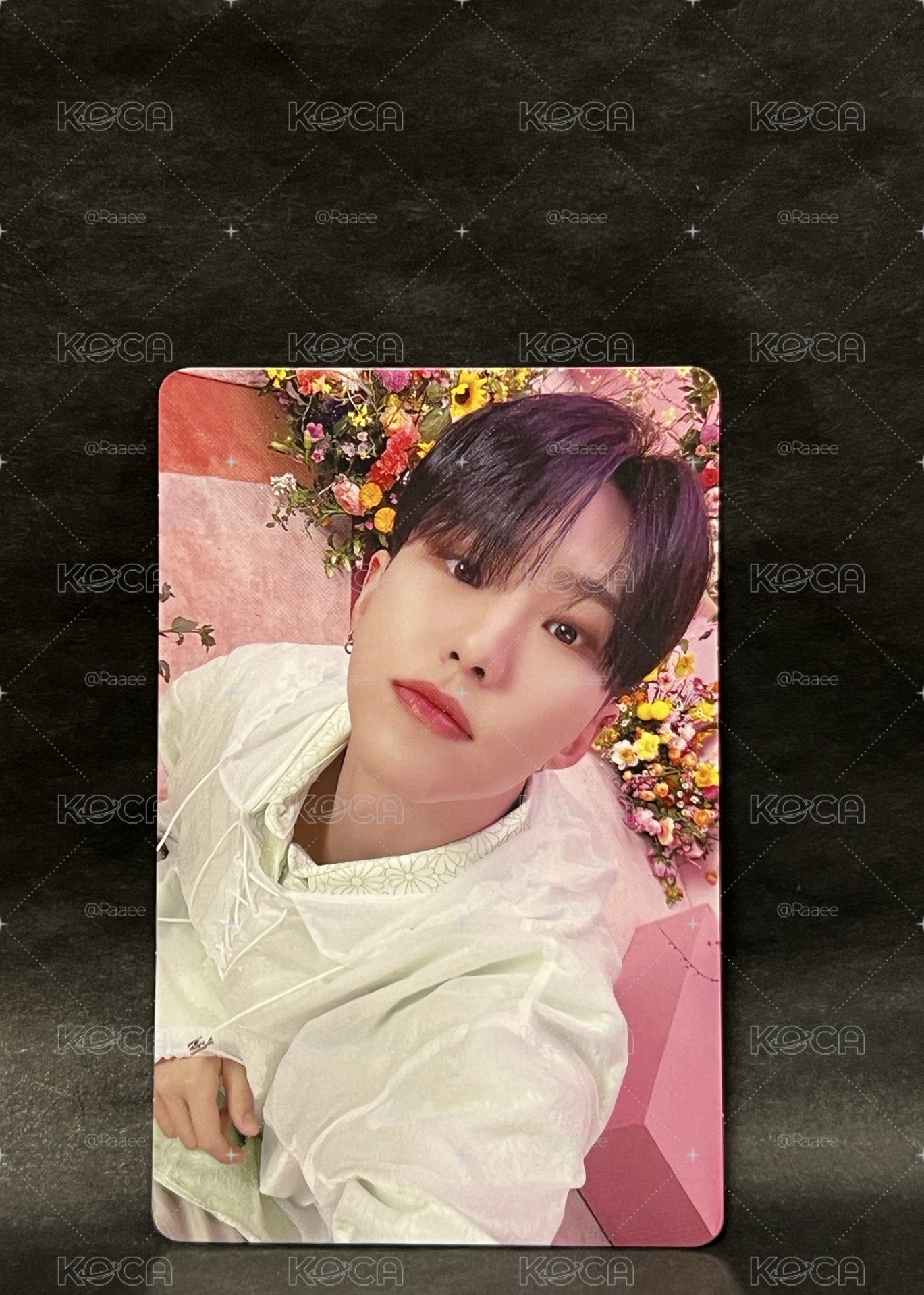Hoshi