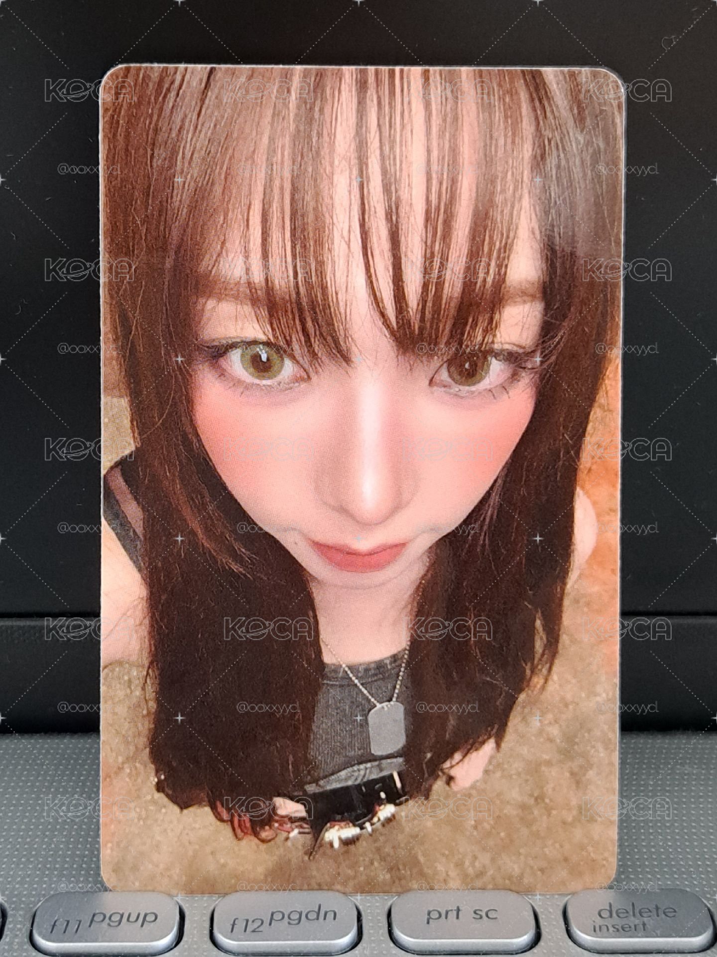 泡泡摩奇 預售柚 擁有知珉就是擁有幸福