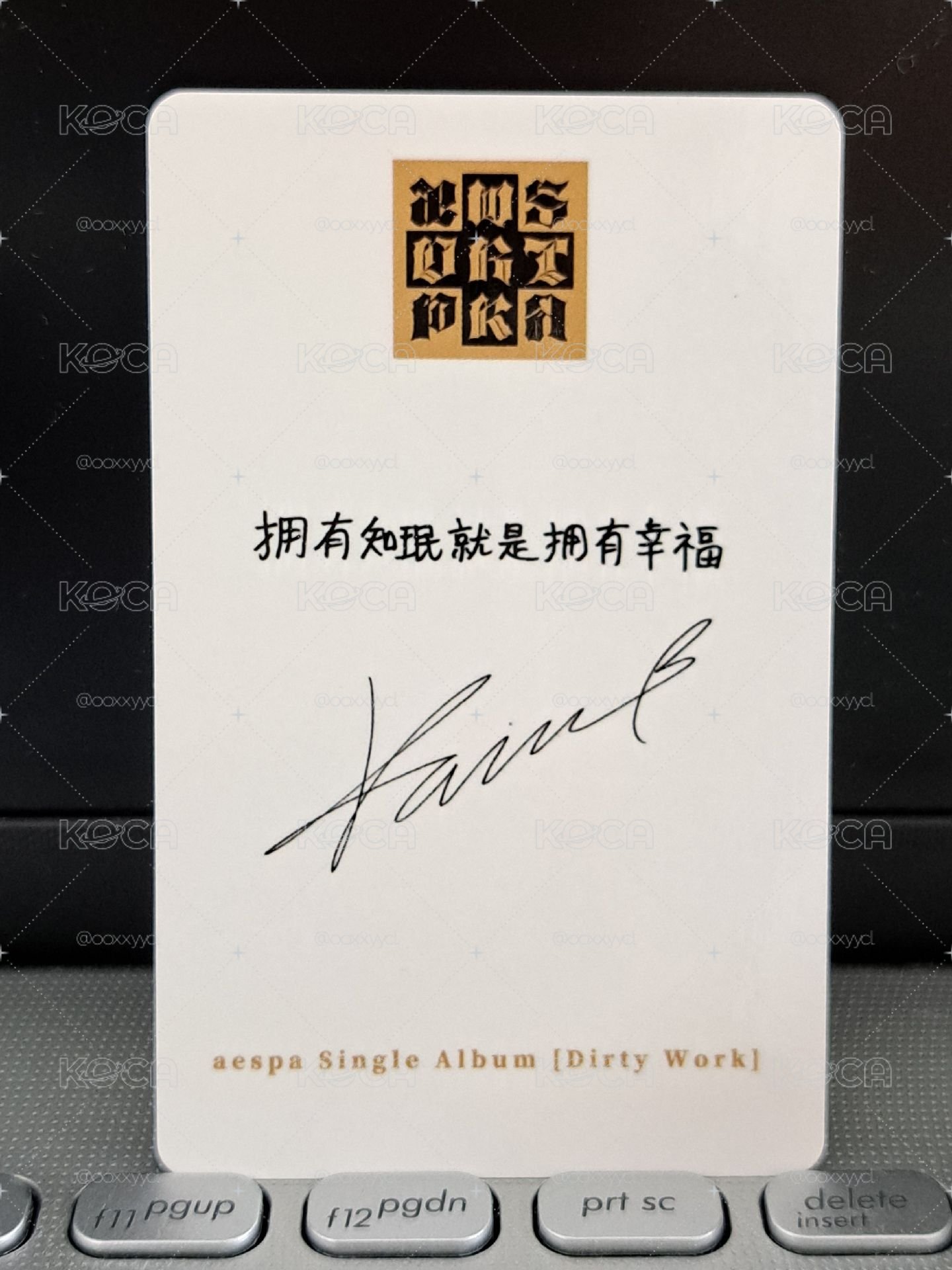 泡泡摩奇 預售柚 擁有知珉就是擁有幸福