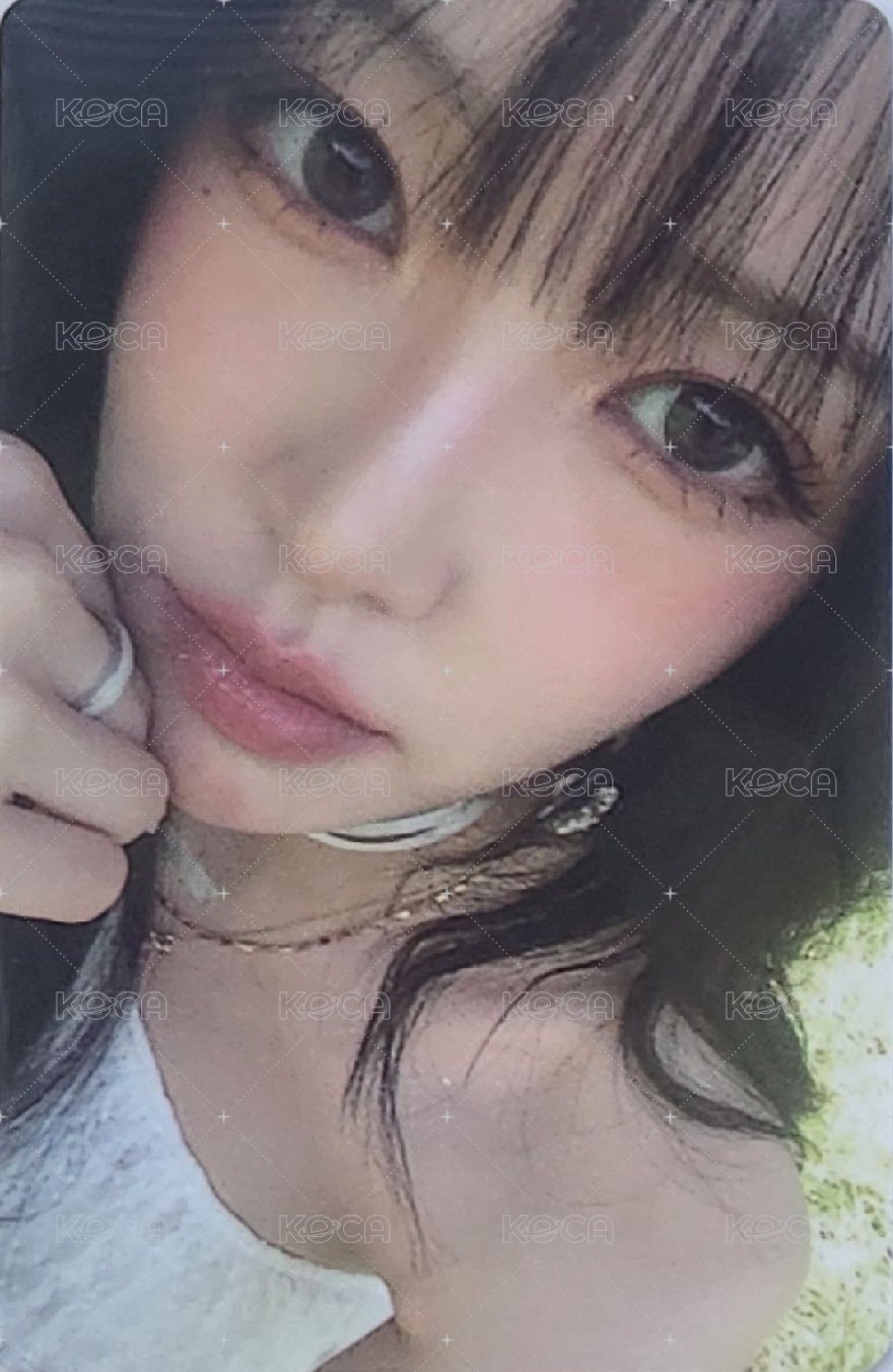 [In Bloom] PB 版專卡