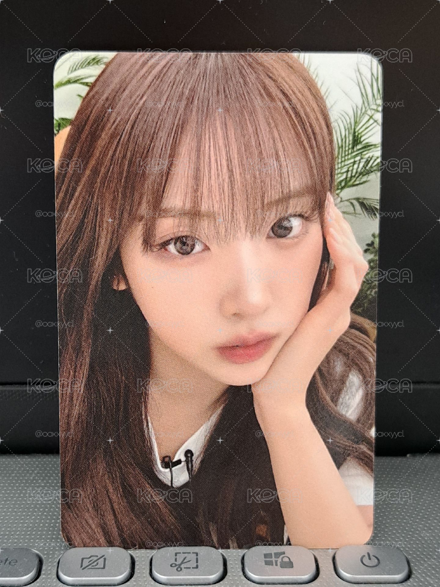 am 只看我MIXX友