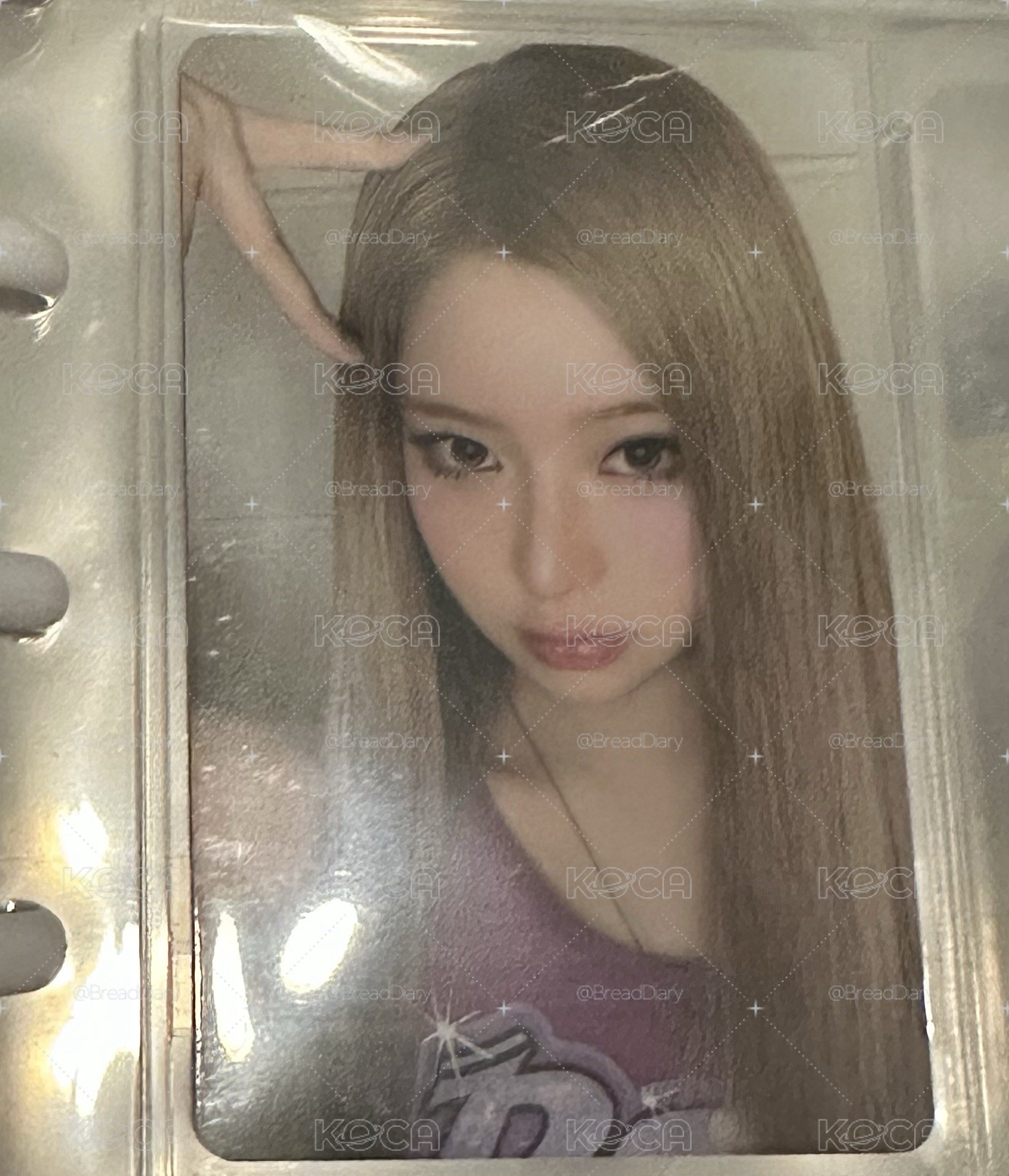 D1 入場卡