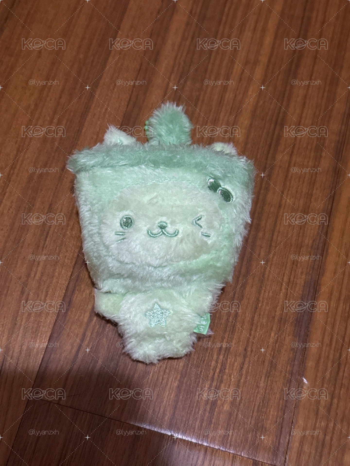 開除綠色奶茶貓