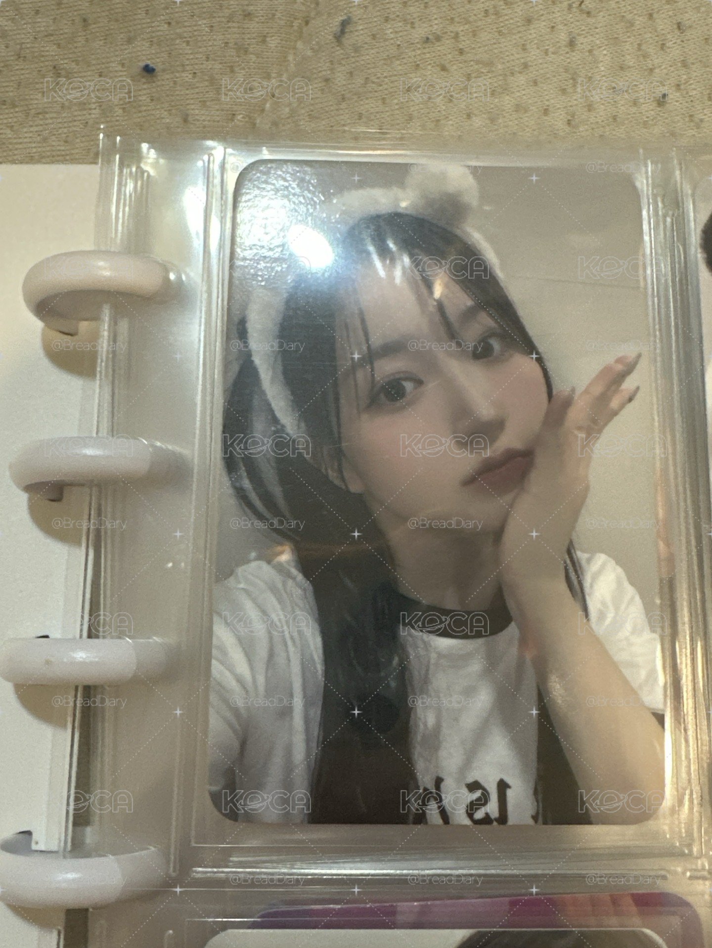 小熊嫄