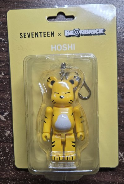 Hoshi×bearbrick