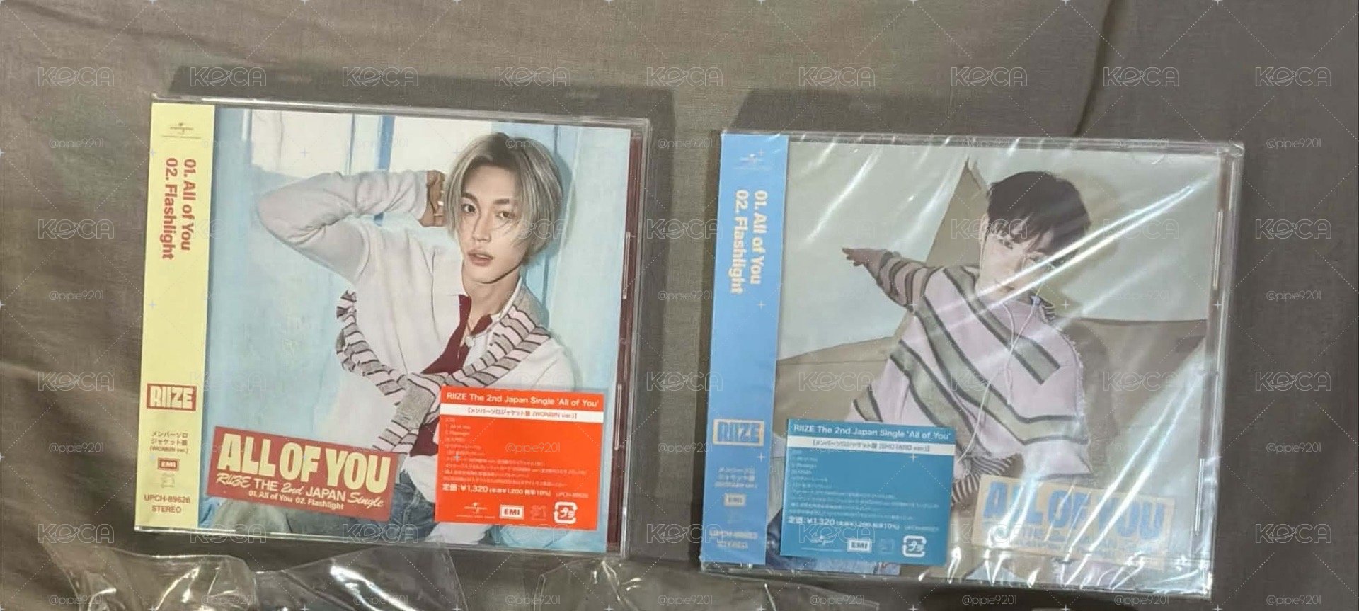 烏拉鹿小盤
