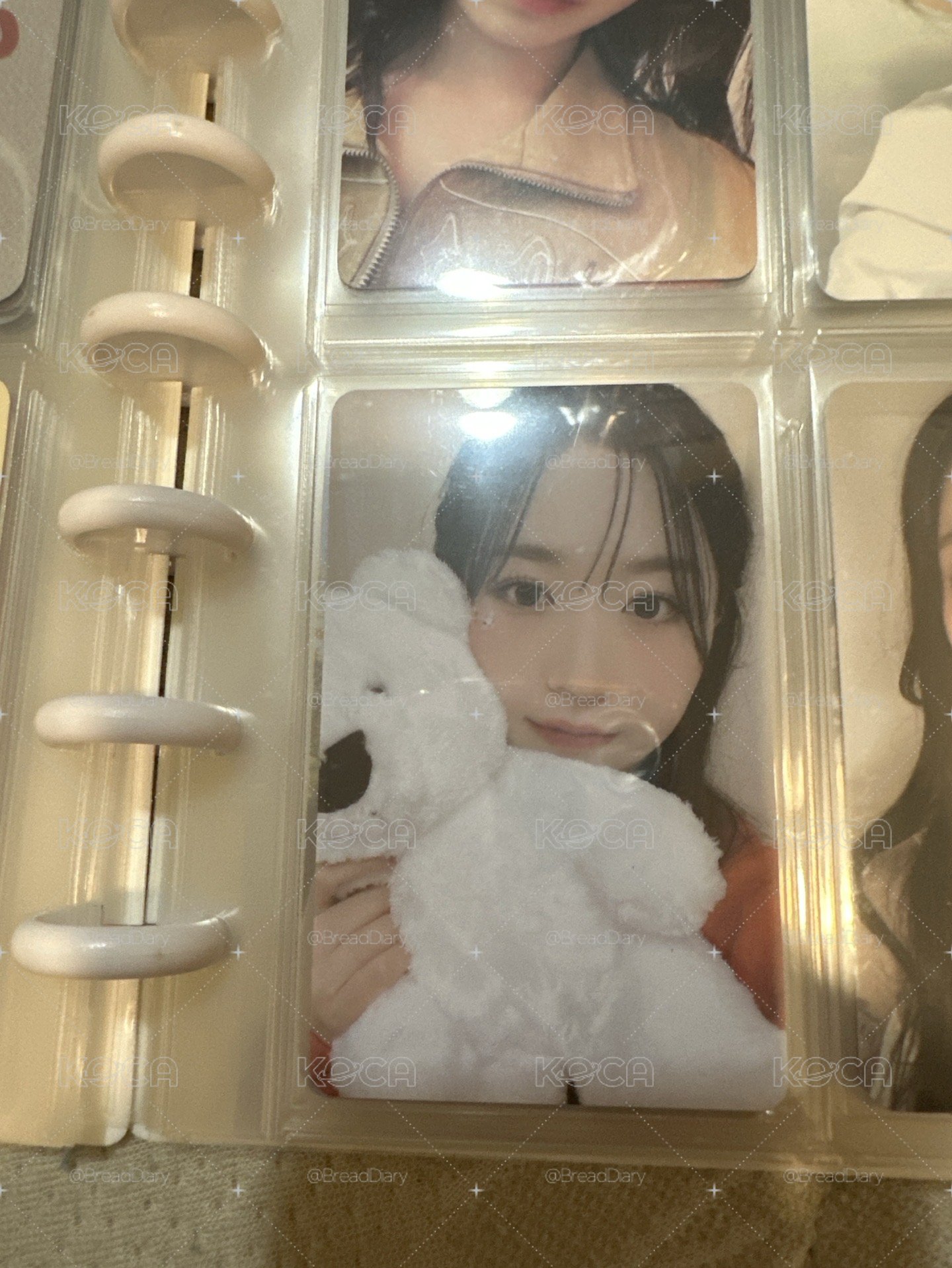 抱熊 PVC