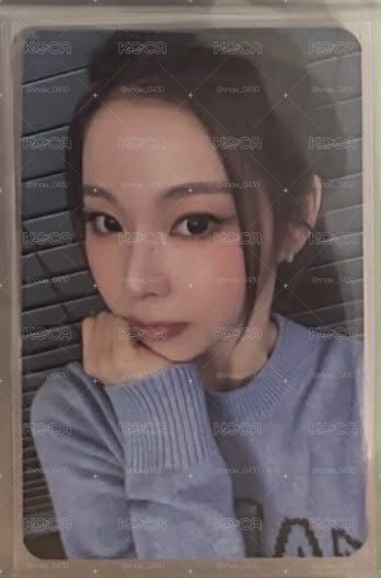 高馬尾圭