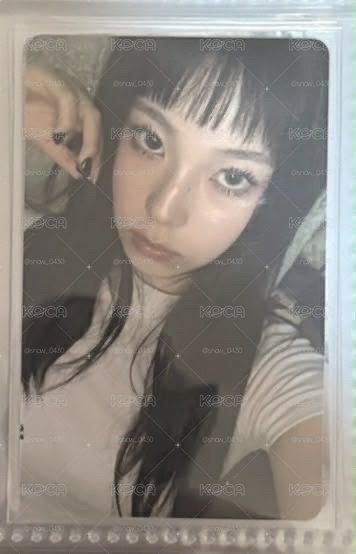 普版特典圭
