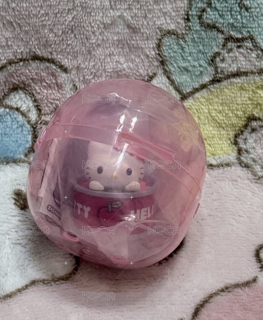 罐頭 凱蒂貓