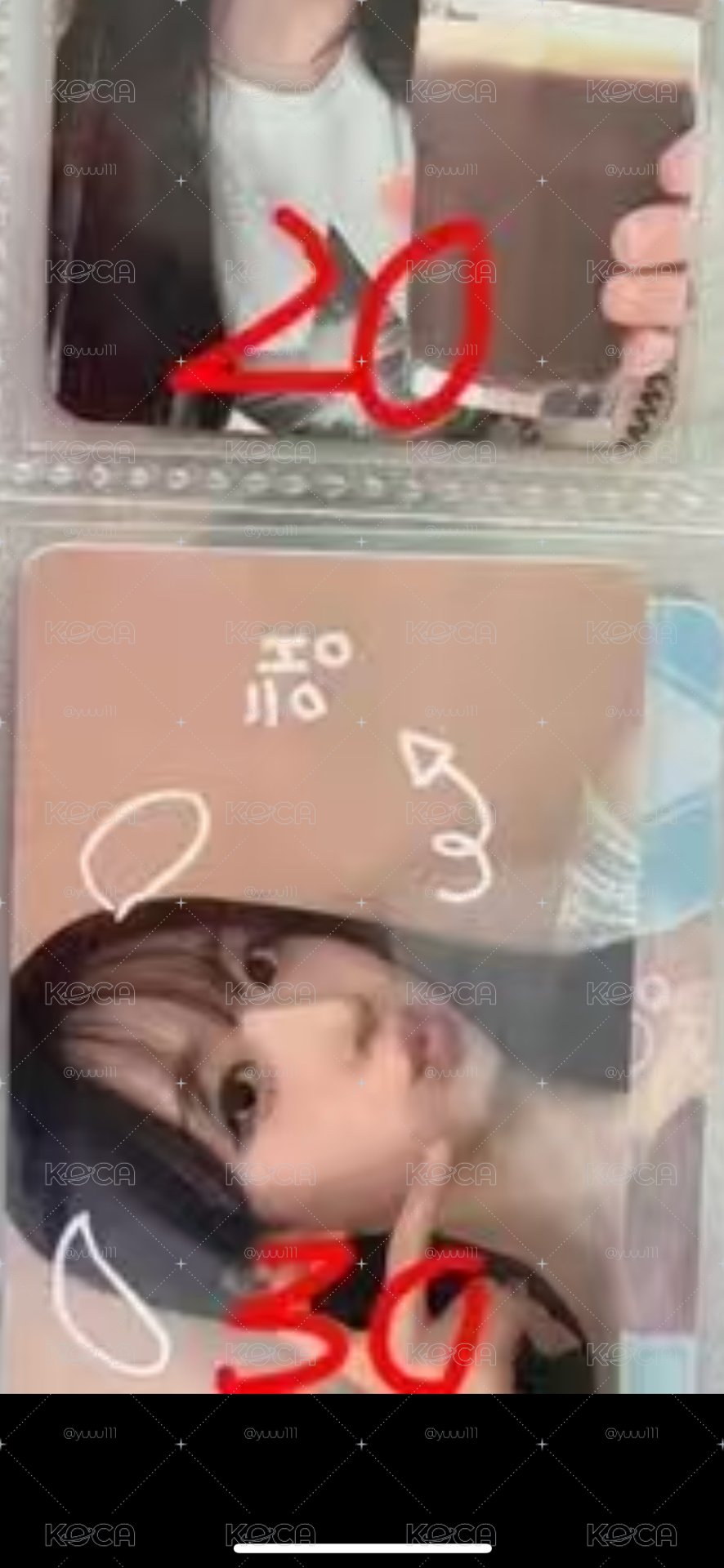 拼車 寵物鏡頭 無捆直出