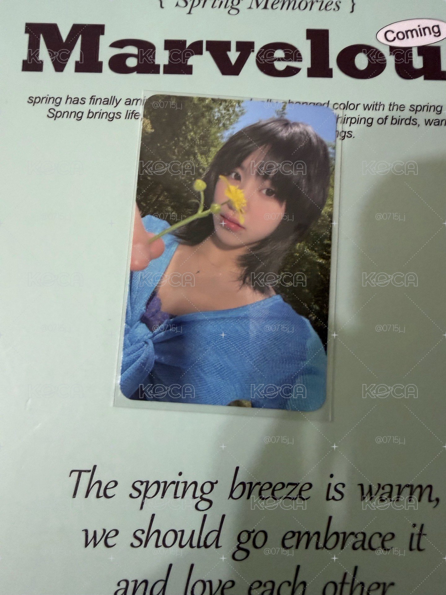 彩卡