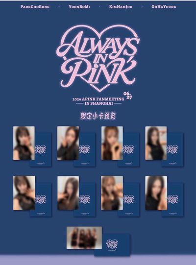 Apink上海場入場卡