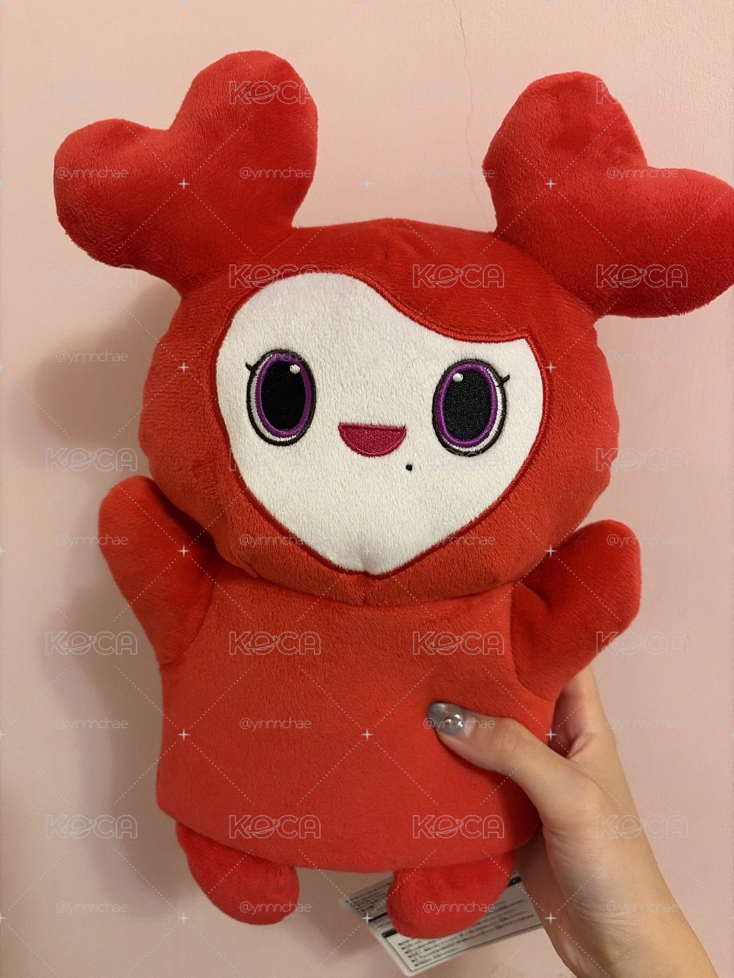 TWICE 彩瑛gigo手偶