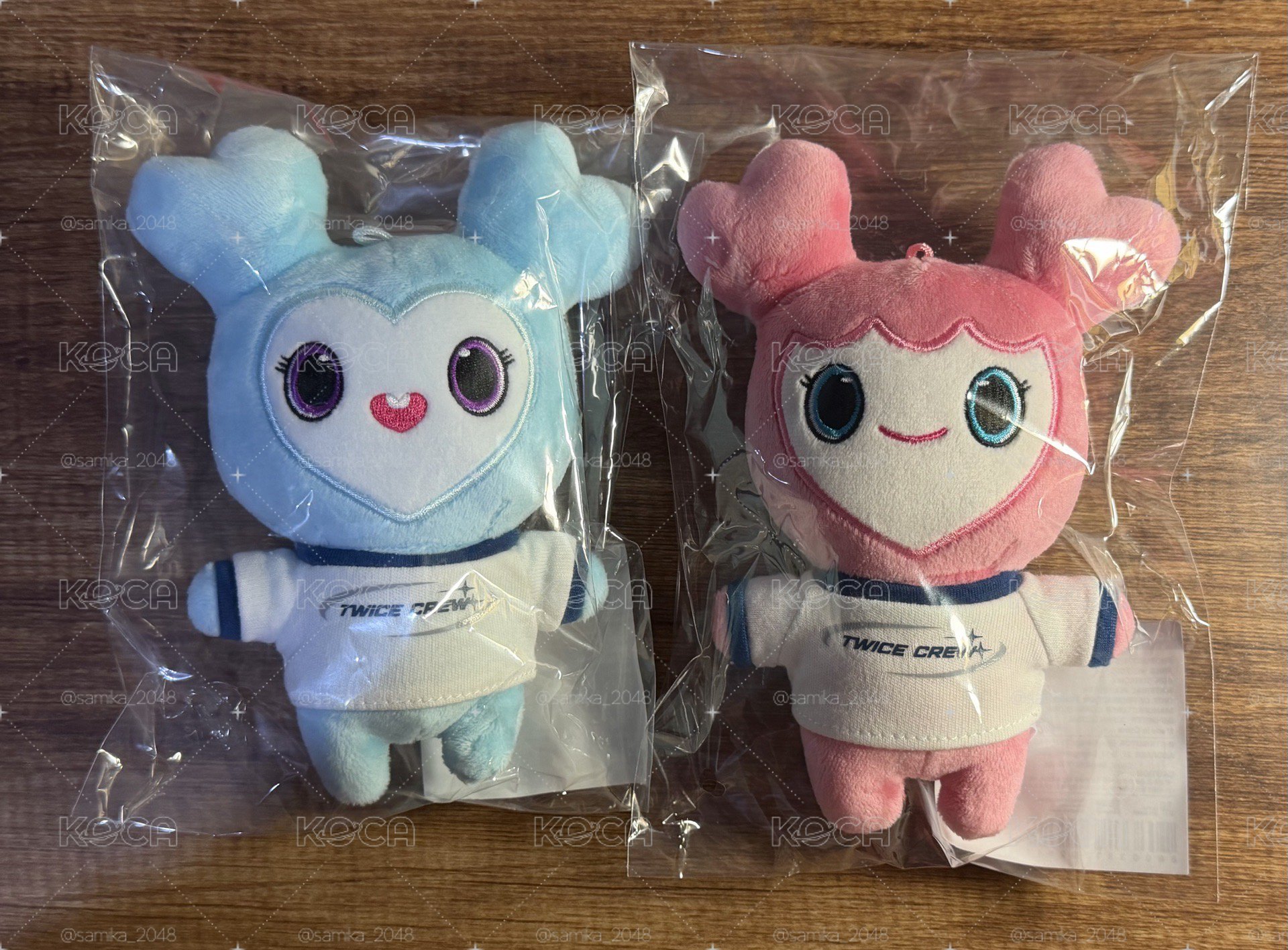 TWICE 十週年 太空娃 娜璉&Momo