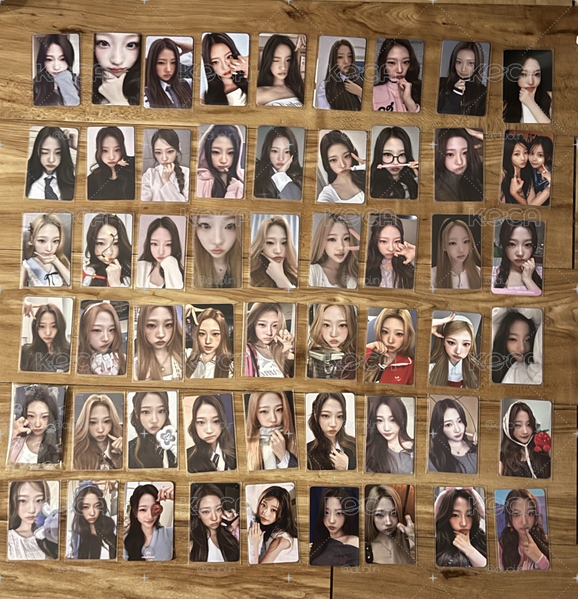Stella 盤