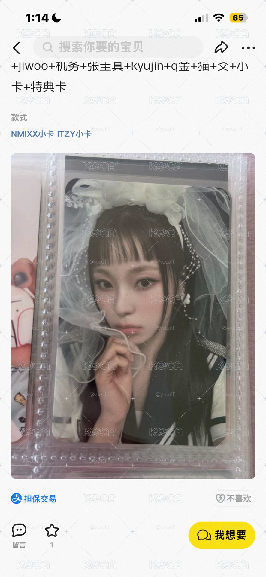 dg 新娘圭