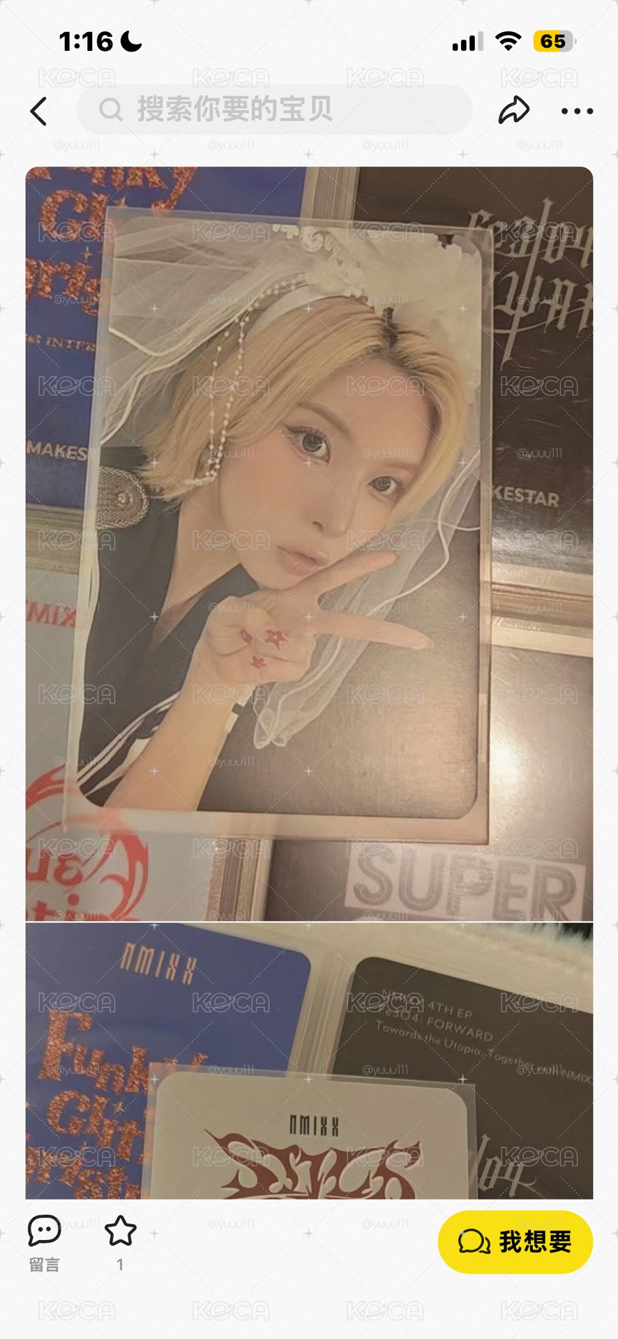 dg 新娘貝
