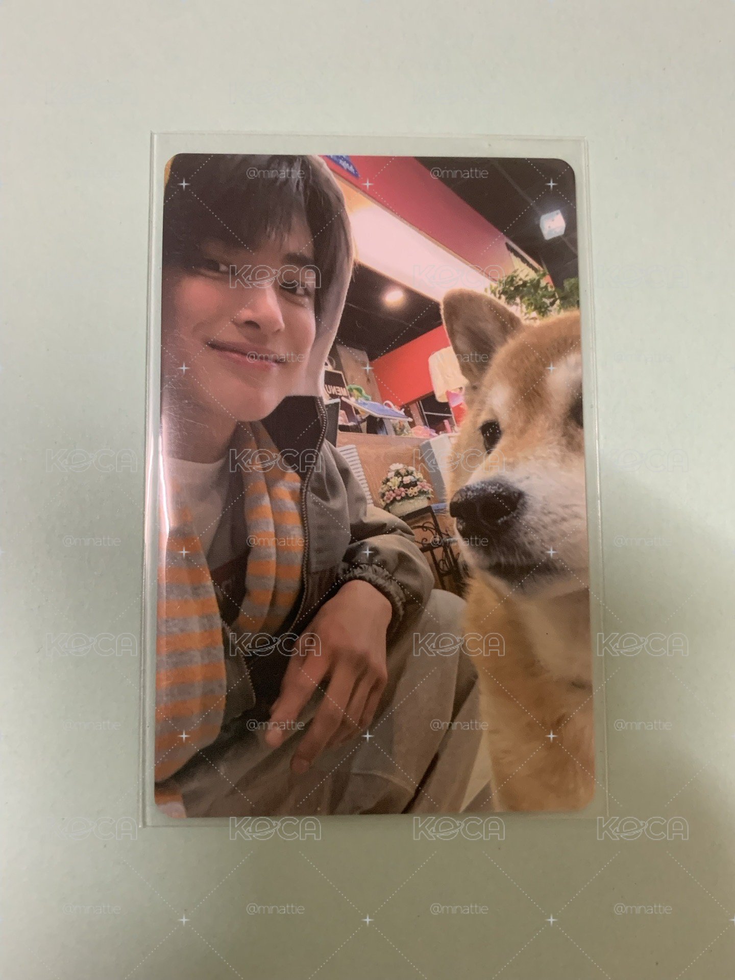 YZY 1.0 🐶狗狗跟狗狗玩🐶