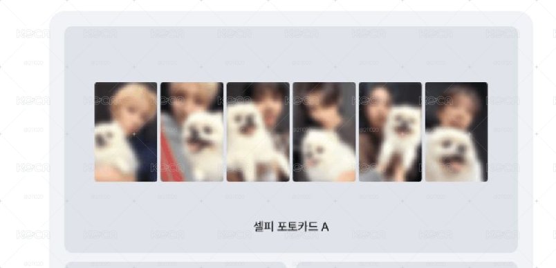 wvs狗狗特典一套