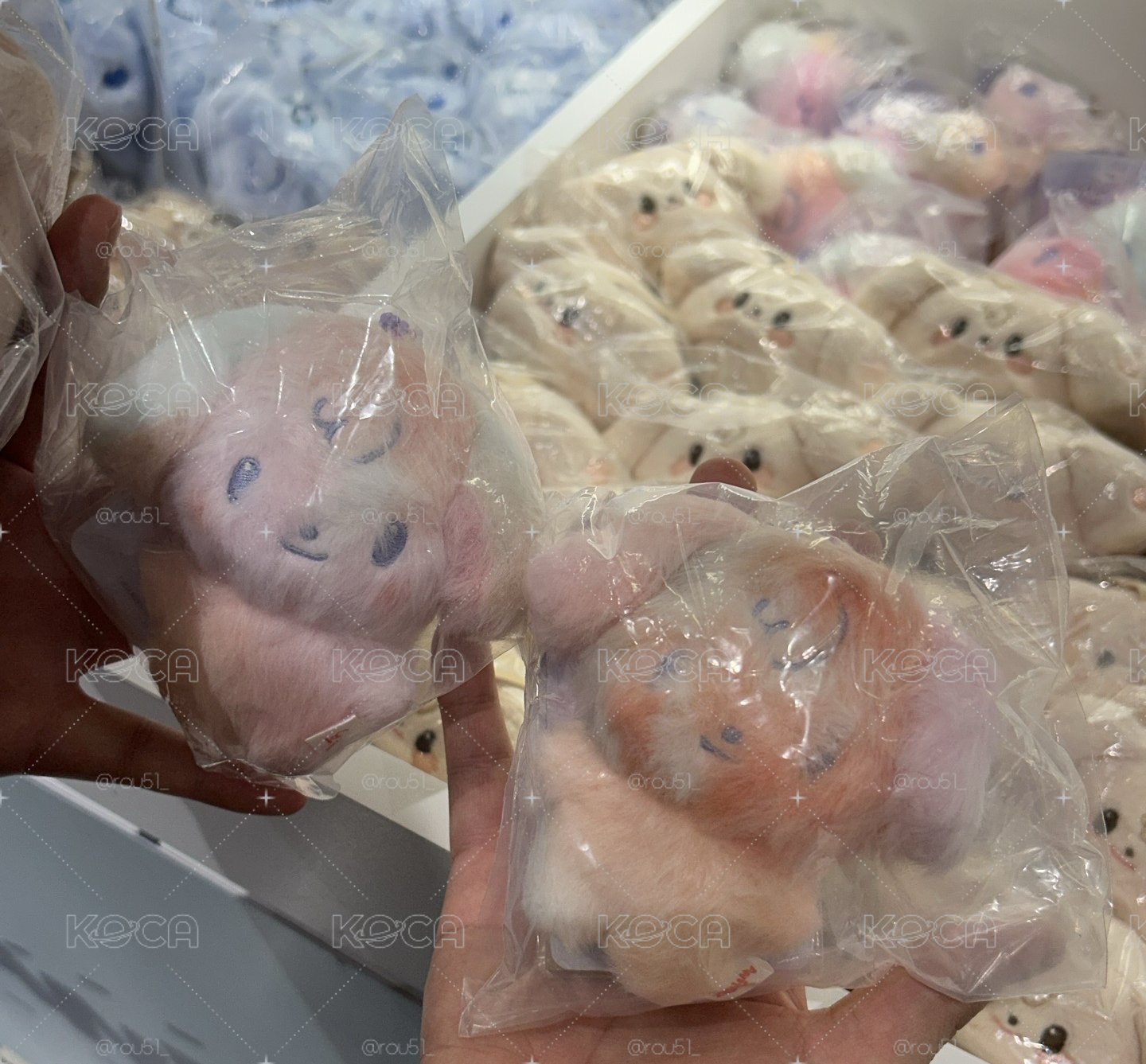 左邊那隻潤彩娃含卡+兩張潤卡