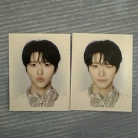 樹(兩張一組)