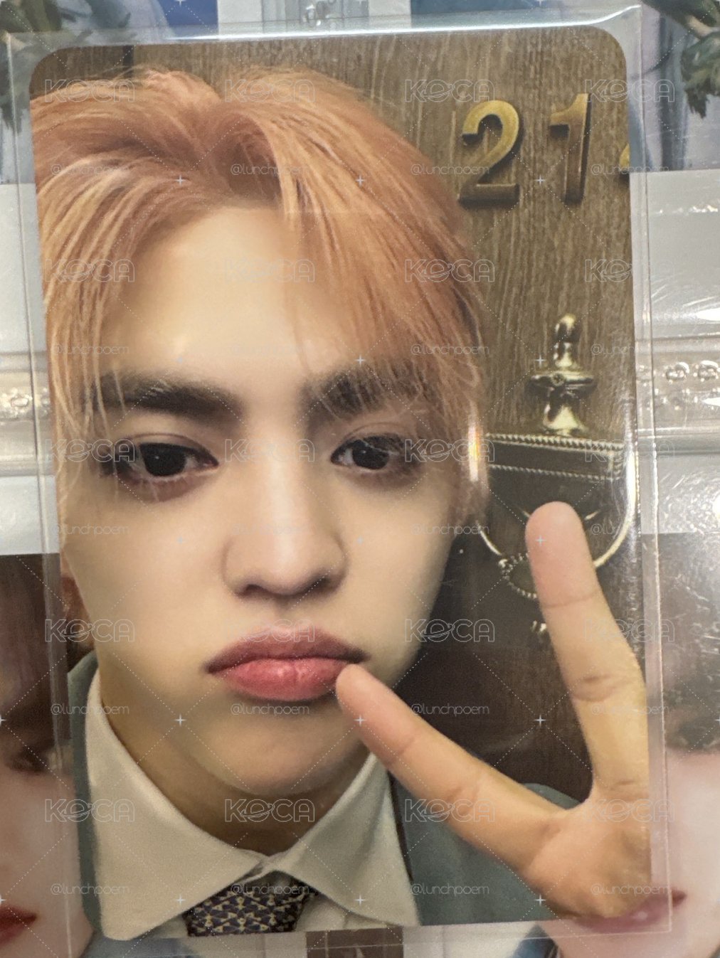 MINI12 專輯卡 CARAT ver.