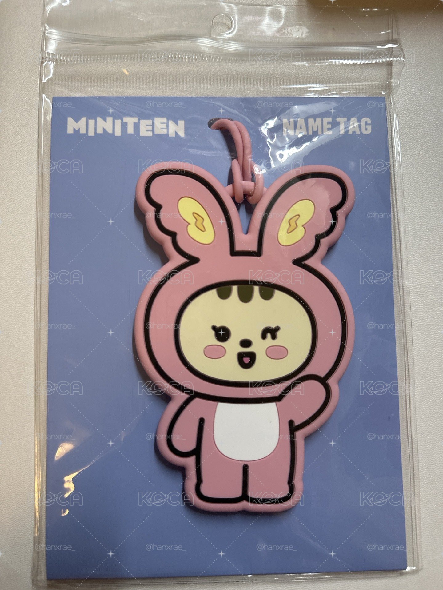 現貨 SEVENTEEN MINITEEN 行李吊牌 淨漢